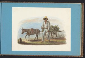 バナナとカートを持つ男 スリナムを描いたアルバム、p.44 (50) (連載タイトル) 作： Jacob Marius Adriaan Martini van Geffen