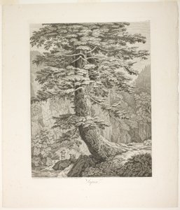 モミの木 作： Jacob Philipp Hackert