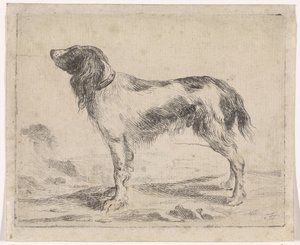 立ち犬 犬（シリーズタイトル） 作： Jacob Toorenvliet