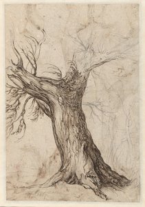 その周りにいくつかの木がある栗の木 作： Jacob de Gheyn (II)