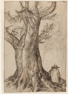 木の幹の研究 根の上に座っている男と栗の木 作： Jacob de Gheyn (II)
