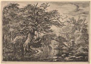 銀行に旅行者がいる森の湿地 (旅行者) 作： Jacob van Ruisdael