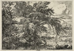 丘の上にあるコテージ 作： Jacob van Ruisdael