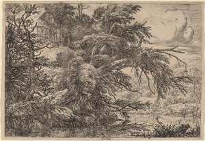 丘の上のコテージ 作： Jacob van Ruisdael