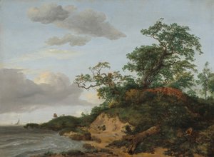 デューンズ バイ ザ シー 作： Jacob van Ruisdael