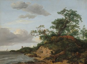 海辺の砂丘」1648年 作： Jacob van Ruisdael