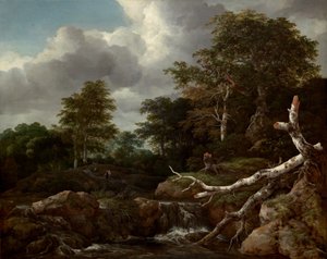 森の情景、c. 1655年。 作： Jacob van Ruisdael