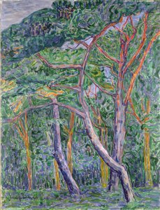 松の木 作： Jacoba van Heemskerck