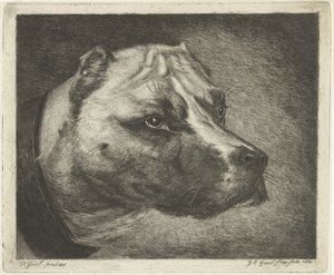 首輪付き犬の頭 作： Jacobus Cornelis Gaal