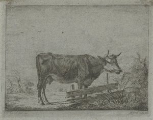 フェンスのそばに立つ牛 作： Jacobus Cornelis Gaal