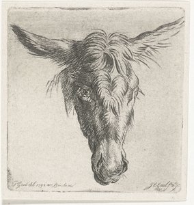 ロバの頭 作： Jacobus Cornelis Gaal