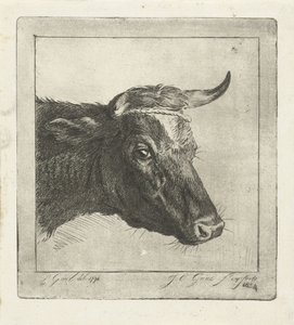 角にロープを巻いた牛の頭 作： Jacobus Cornelis Gaal