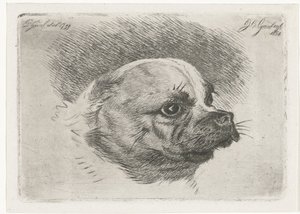 パグヘッド 作： Jacobus Cornelis Gaal