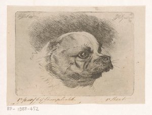 パグヘッド 作： Jacobus Cornelis Gaal