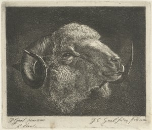 角を後ろに向けた雄羊の頭 作： Jacobus Cornelis Gaal