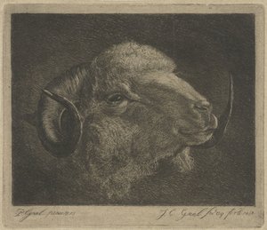 角を後ろに向けた雄羊の頭 作： Jacobus Cornelis Gaal