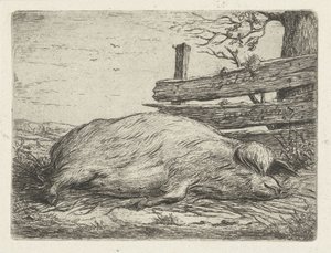 横たわるイノシシ 作： Jacobus Cornelis Gaal