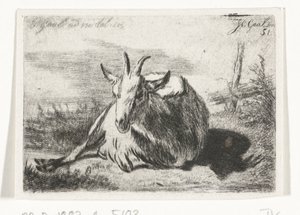 左に横たわるヤギ 作： Jacobus Cornelis Gaal