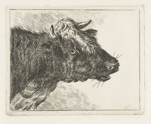 とどろく雄牛 作： Jacobus Cornelis Gaal