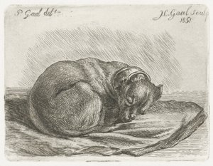 毛布の上に横たわって眠っている犬 作： Jacobus Cornelis Gaal