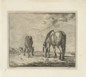 2 頭の放牧馬