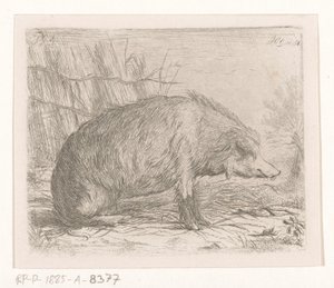 座っているイノシシ 作： Jacobus Cornelis Gaal