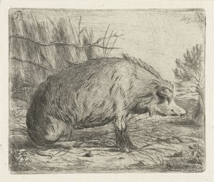 座っているイノシシ 作： Jacobus Cornelis Gaal