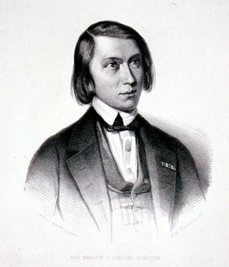 ヨセフス・ヘルマヌス・フェルスト（1816-91）の肖像（エングレーヴィング） 作： Jacobus Everardus Josephus van den (after) Berg