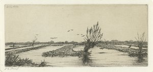 泥炭湿原 作： Jacobus Ludovicus Cornet