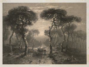 A. カラメの作品 第 13 番: ヴァレー州のシエールの森 作： Jacomme and Cie. R. de Lancry, 12, Paris