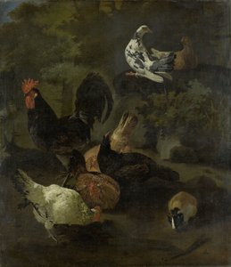 雄鶏、鶏、鳩、マーモット