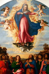 聖母被昇天、パルマ・イル・ヴェッキオ・セリーナ作、1513年（絵画） 作： Jacopo (c.1480 1528) Palma