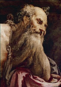 瞑想中の聖ヒエロニムス 作： Jacopo Bassano