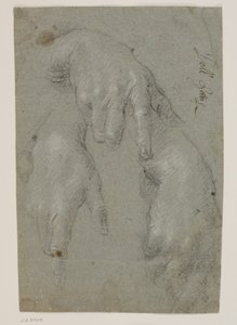 右手の 3 つの研究 作： Jacopo Palma