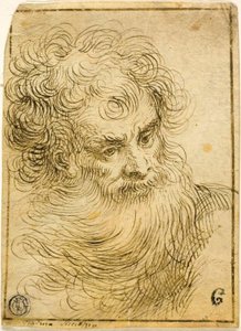 あごひげを生やした老人の頭（直腸）。 花と葉の装飾的なスケッチ (裏面) 作： Jacopo Palma il Giovane