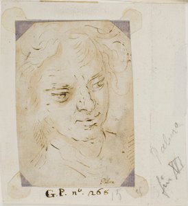 男の頭 作： Jacopo Palma il Giovane