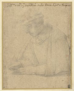 アレクサンダー・デ・メディチ 作： Jacopo Pontormo