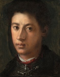 アレッサンドロデメディチ 作： Jacopo Pontormo