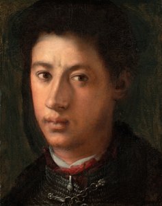 アレッサンドロ・デ・メディチ、153435。 作： Jacopo Pontormo