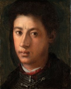 アレッサンドロ・デ・メディチ1510-1537、1534-1535の肖像 作： Jacopo Pontormo