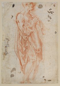 聖ジェロームのための研究 作： Jacopo Pontormo