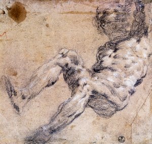 男性ヌードの研究