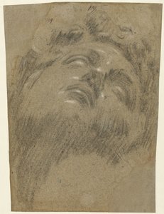 フーフト・ファン・ジュリアーノ・デイ・メディチ 作： Jacopo Tintoretto