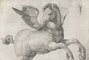 ペガサス、1509-16 作： Jacopo de Barbari