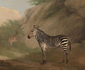 シマウマ 作： Jacques-Laurent Agasse