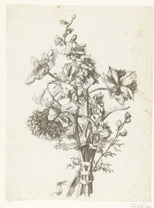 アネモネ、ヒヤシンス、デルフィ ニウムのブーケ Diverses Fleurs mises en Boucquets (連載タイトル) 作： Jacques Bailly (I)