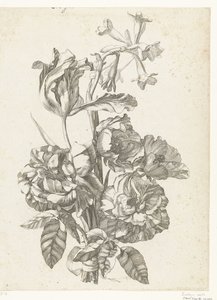 牡丹、チューリップ、ブローディアのブーケ Diverses Fleurs mises en Boucquets (連載タイトル) 作： Jacques Bailly (I)