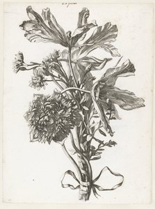 色あせたチューリップ、アネモネ、イモーテルのブーケ Diverse Fleurs mises en Boucquets (連載タイトル) 作： Jacques Bailly (I)