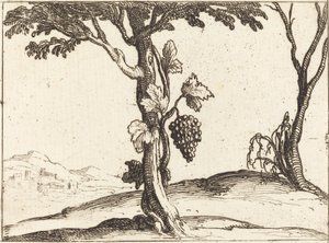 ブドウ一房 作： Jacques Callot