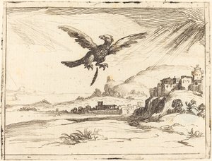 古い羽を失うワシ、1628年。